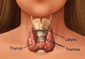 Bệnh ung thư tuyến giáp là gì?